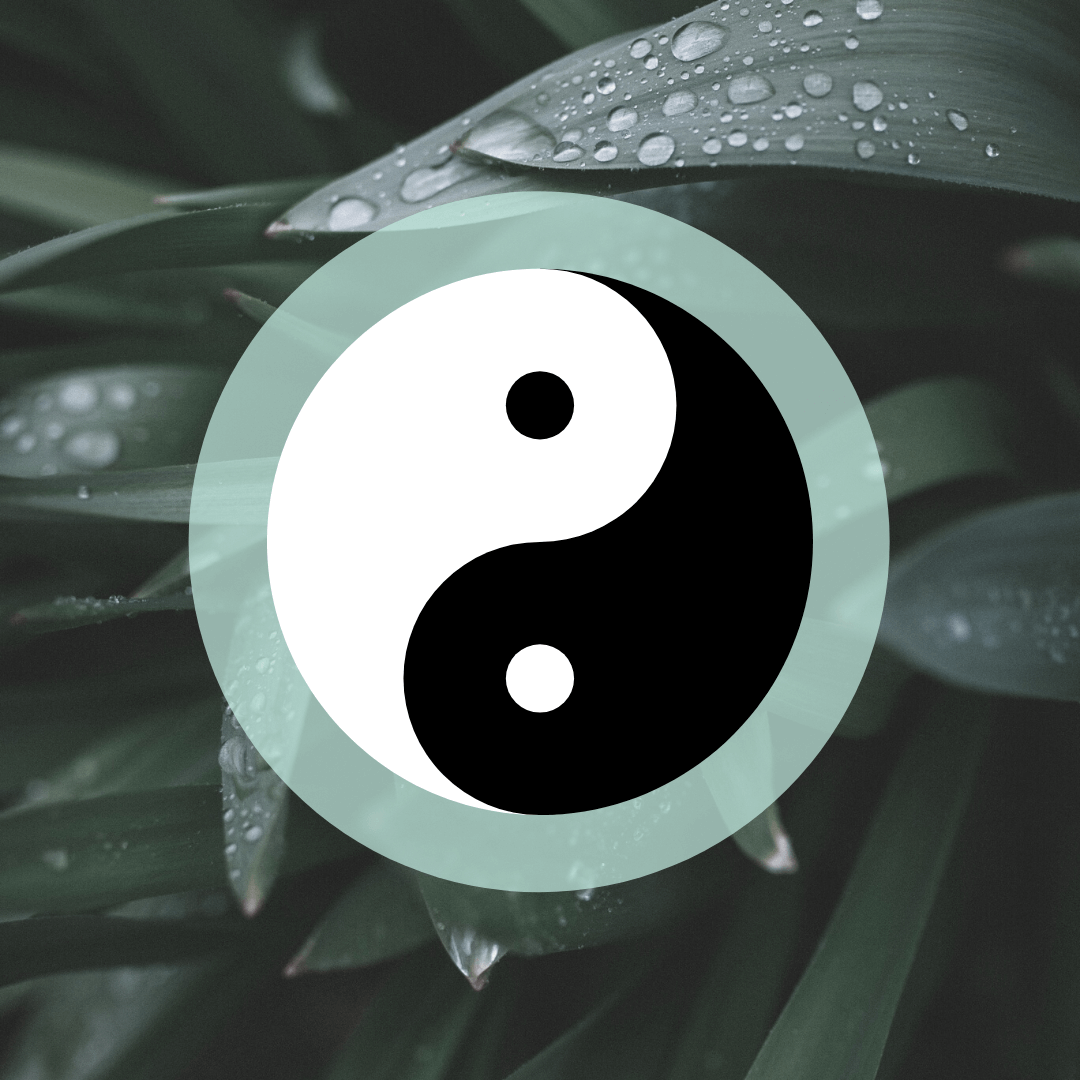 Yin und Yang in der Meditation. Warum auch Abdriften erlaubt ist