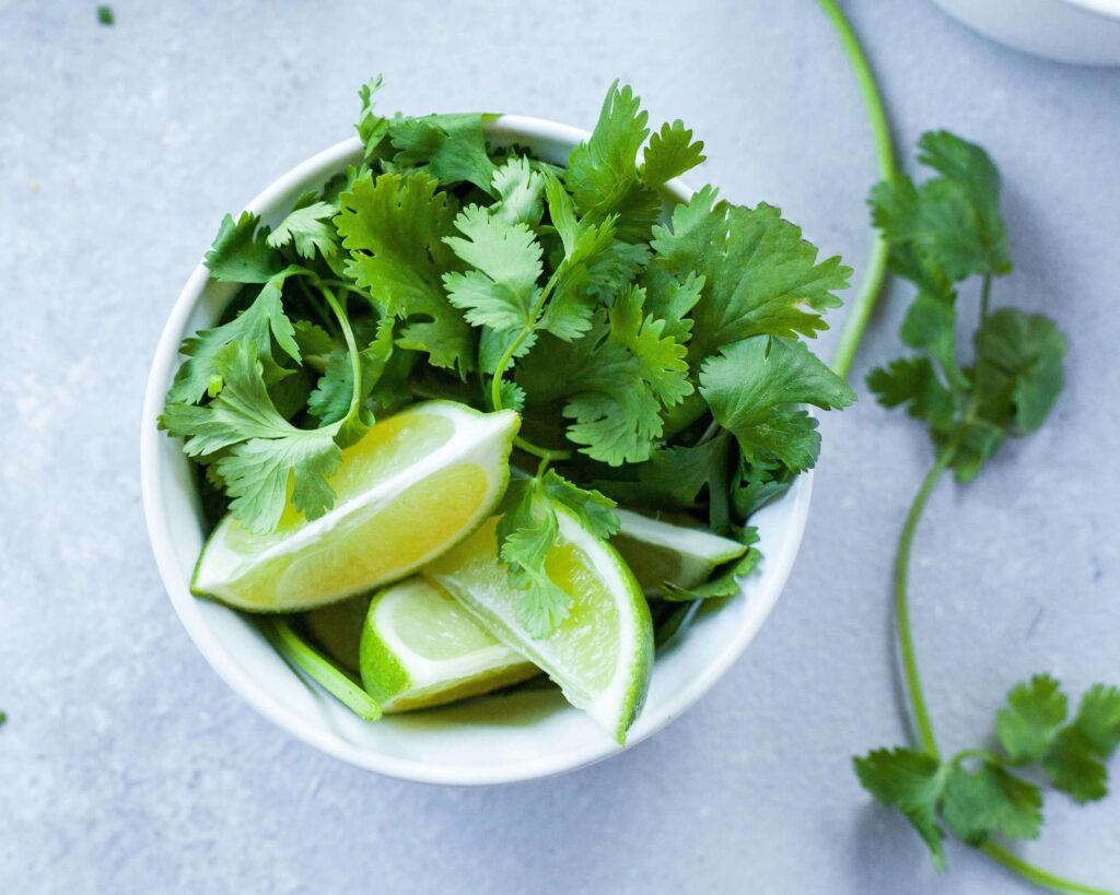 Kitchari Cleanse – ayurvedisches Detox-Gericht mit Koriander und Limetten-Topping